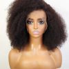 Brooklyn Hair 13x4 HD Lace Front Wig Afro Kinky Curly 16" / Natural Black / HD Lace Front