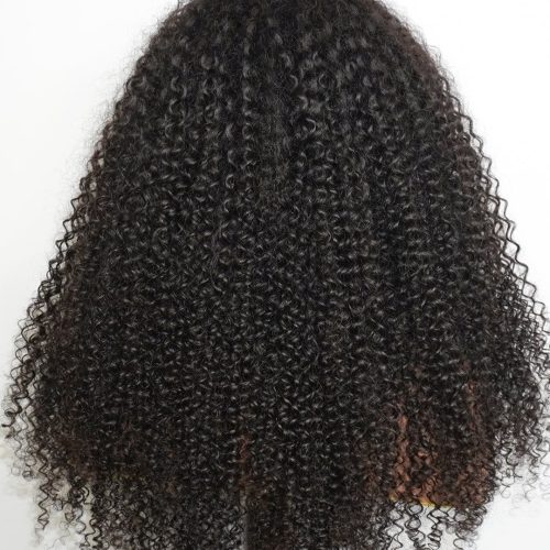 13x4 hd lace front wig kinky afro kinky curly brooklyn hair 45790009196850